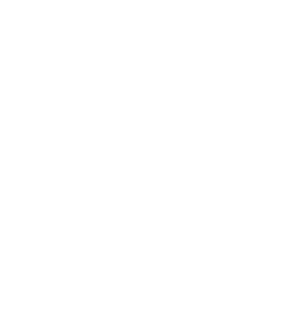 PAPILA