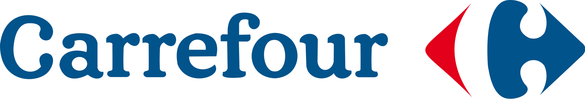 Carrefour-logo